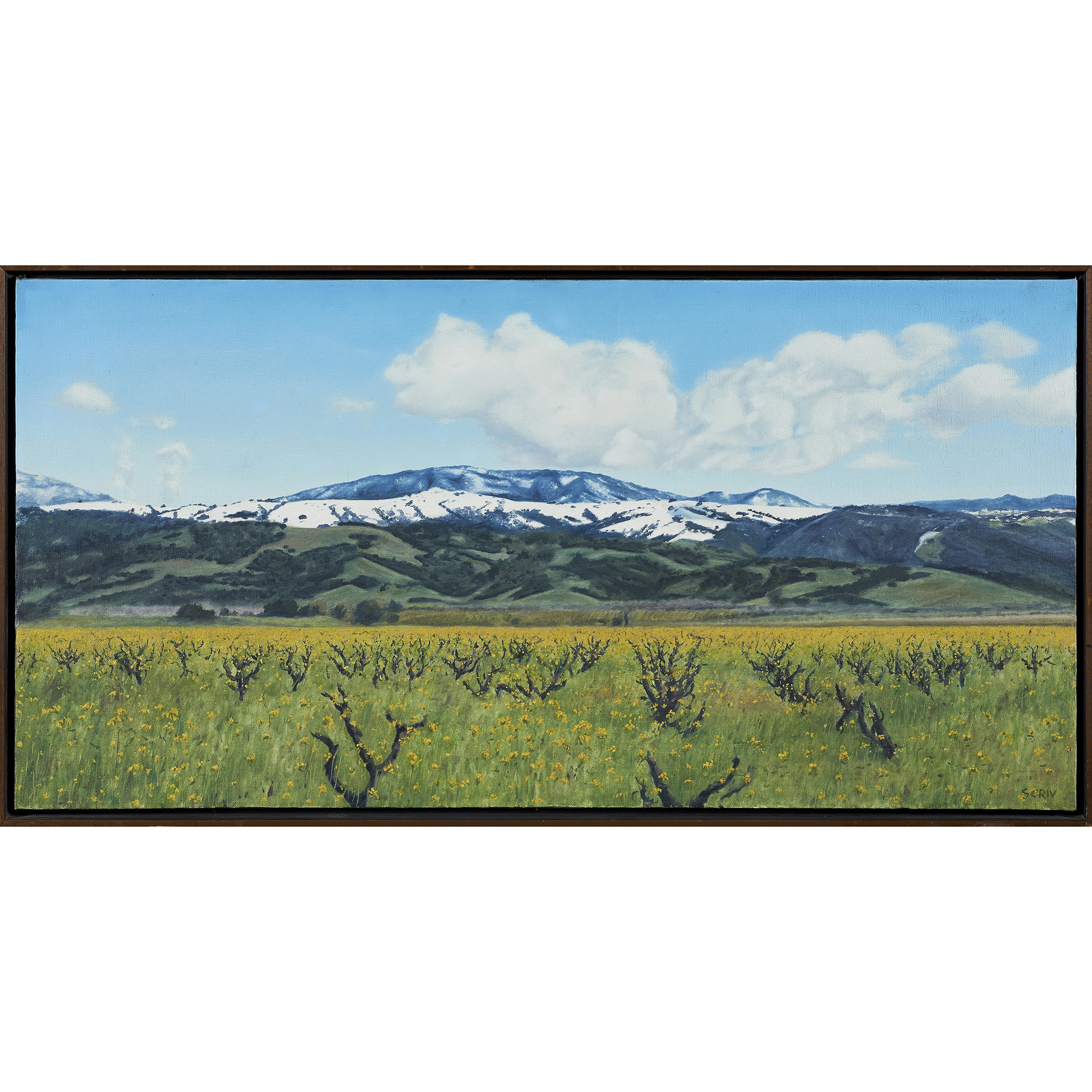 Sam Racina | California Landscape (1976) | MutualArt