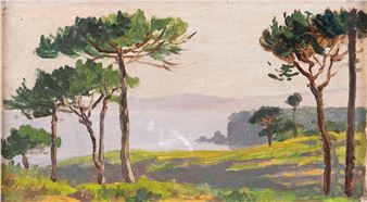 Pineta di Celle - Carlo Thermignon