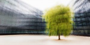 Jacob Gils: Zonamaco Mexico City - In The Gallery, Copenhagen