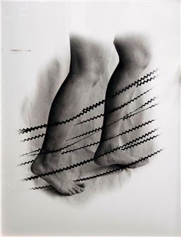 Women on the Inside Selections From the Collection of the Frost Art Museum - Patricia & Phillip Frost Art Museum