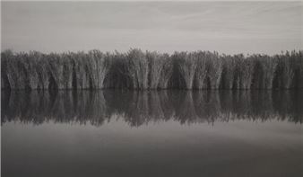 Witho Worms: Polderland - L. Parker Stephenson Photographs