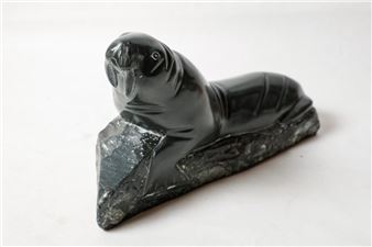 A walrus on ice floe - Zach Meclu