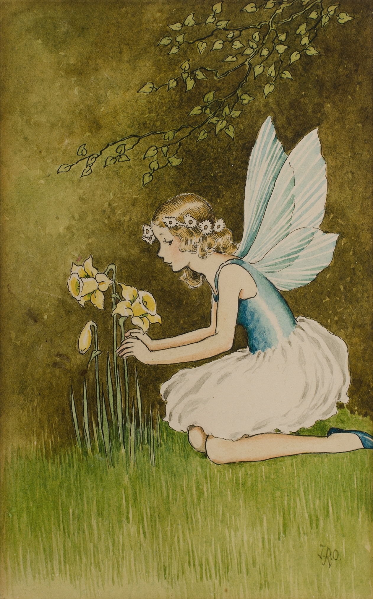 Fairy with Daffodils