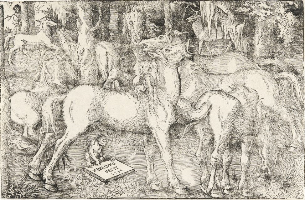 Group of seven horses by Hans Baldung Grien, 1534