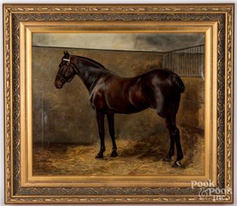 Horse portrait - Violet Haig