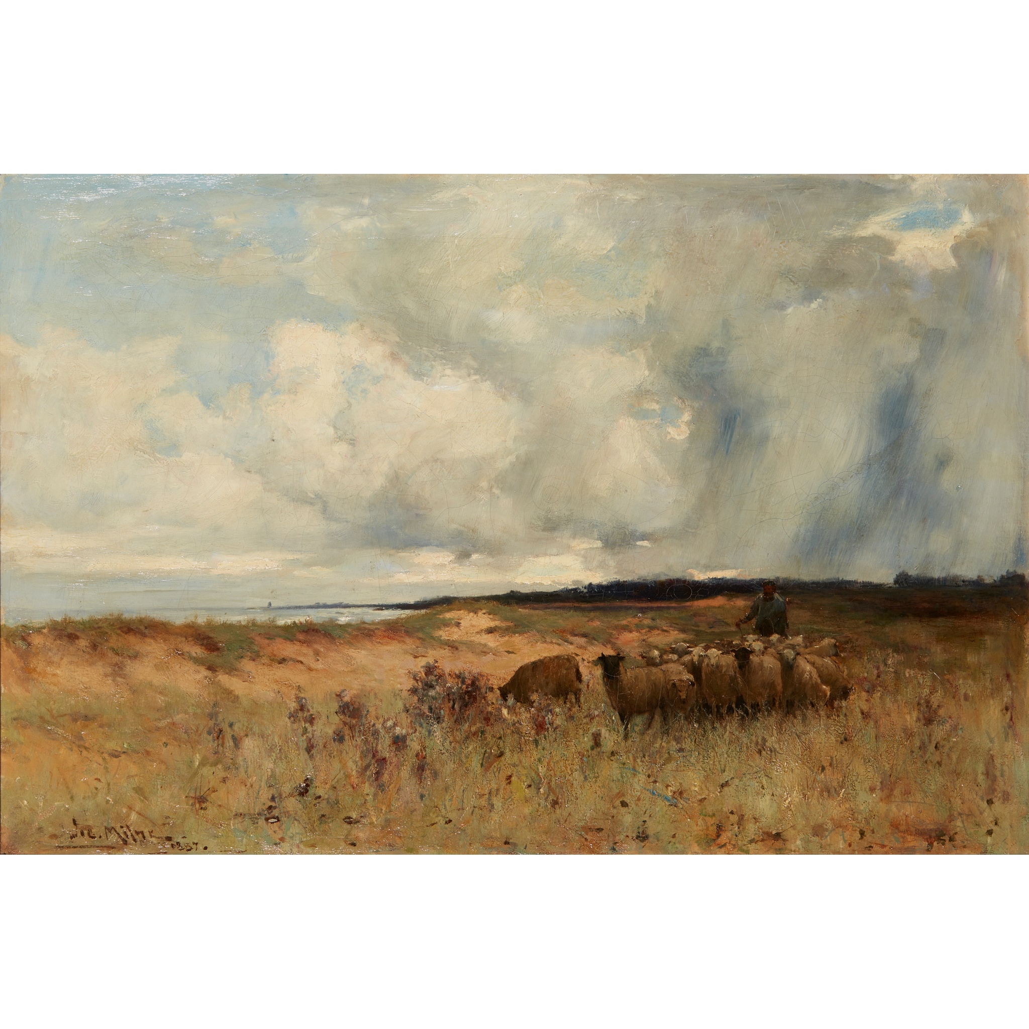 Artwork by Joe Milne, MOVING PASTURE, Made of oil on canvas