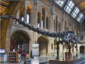When Do Museums and Art Galleries Open?