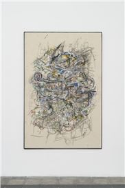 Dan Shaw-Town. In the Sign of the Incorrectness of Perception