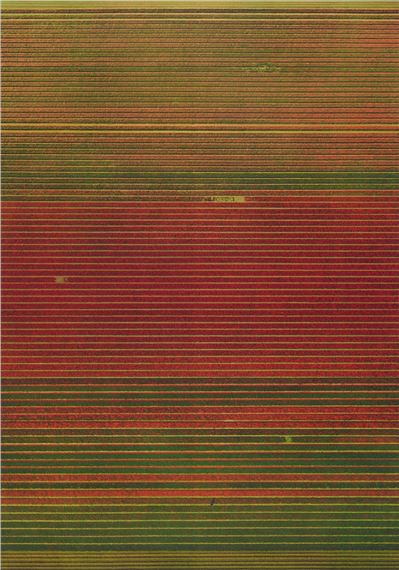 Untitled XVIII by Andreas Gursky, 2016