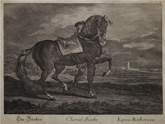 Koń berberyjski - z cyklu „Rasy i odmiany koni”, ok by Johann Elias Ridinger, Johann Gottfried Seutter, 1760
