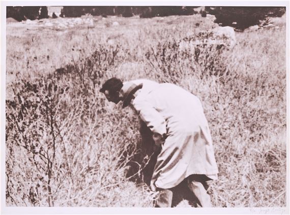 Botanischer Wahnsinn.