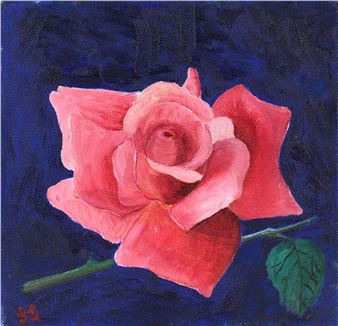 PINK ROSE - Silvia Stori