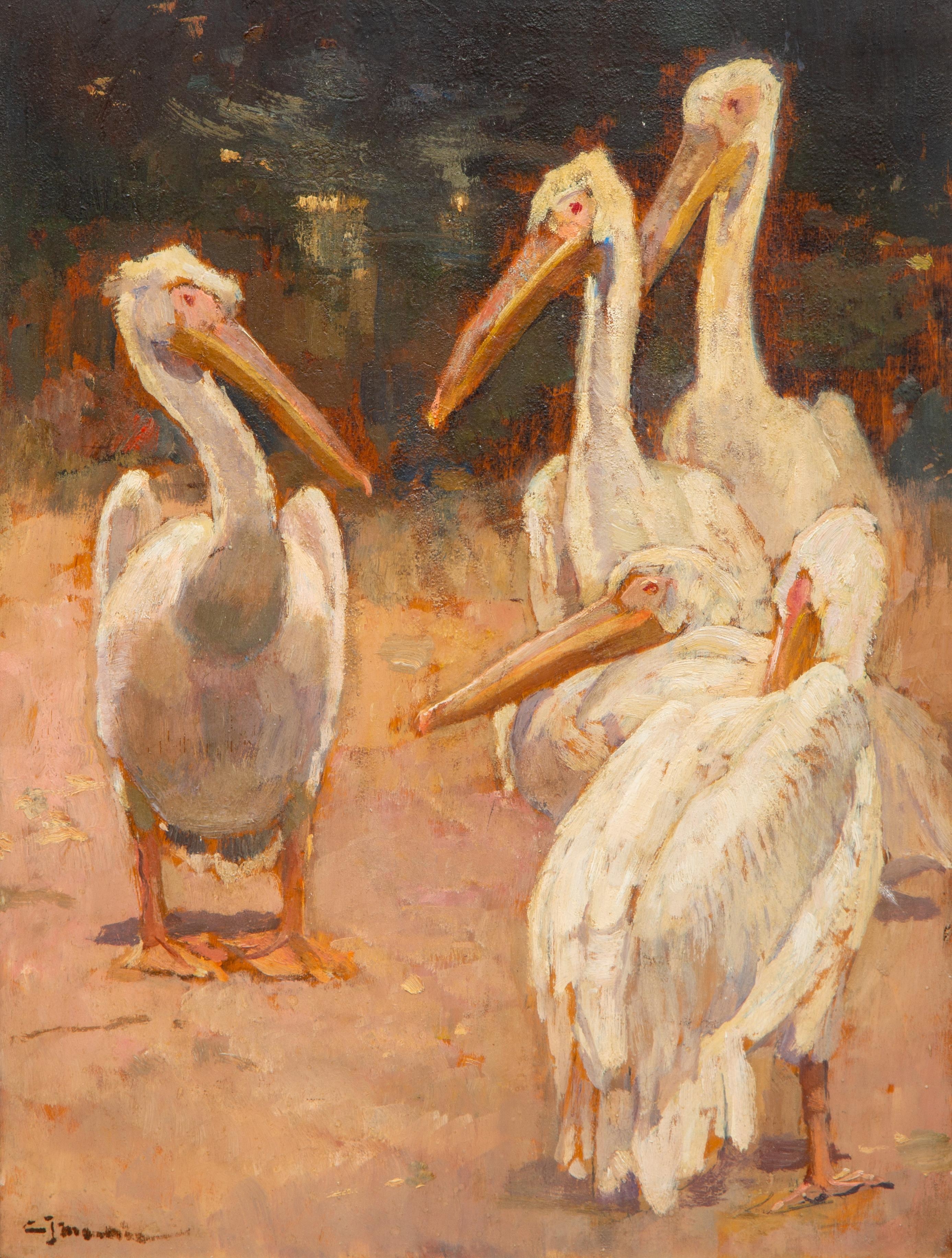 Pelicans by Cornelis Jan Mension