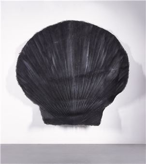 Muschel - Asta ҰöپԲ