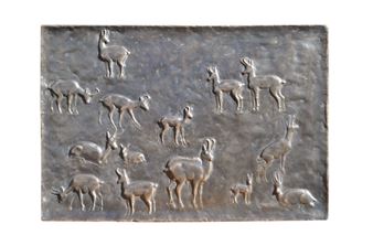 Camosci - Friedrich Gurschler