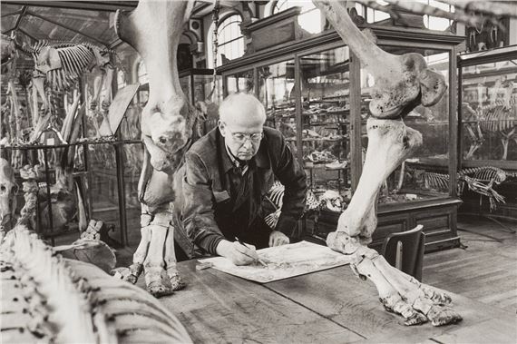 Henri Cartier-Bresson drawing, Muséum d'histoire naturelle, Paris by Martine Franck, 1976