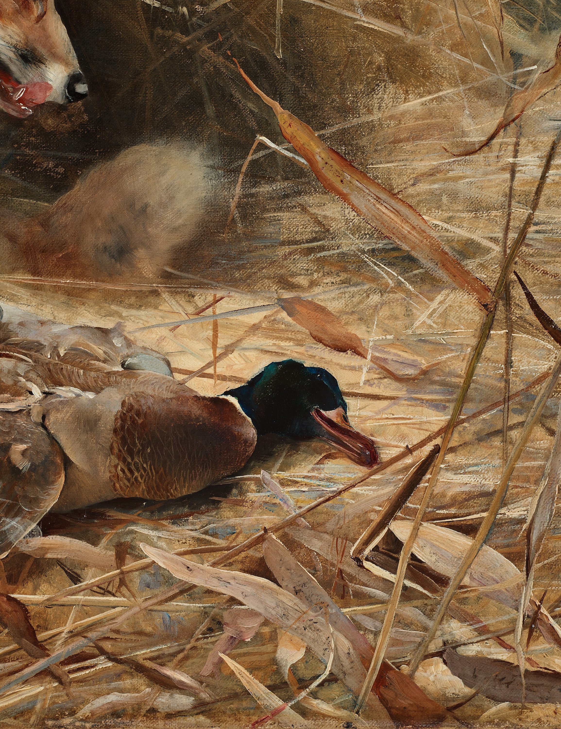 Artwork by Bruno Liljefors, "Räv och skator" (Fox and magpies), Made of Oil on canvas