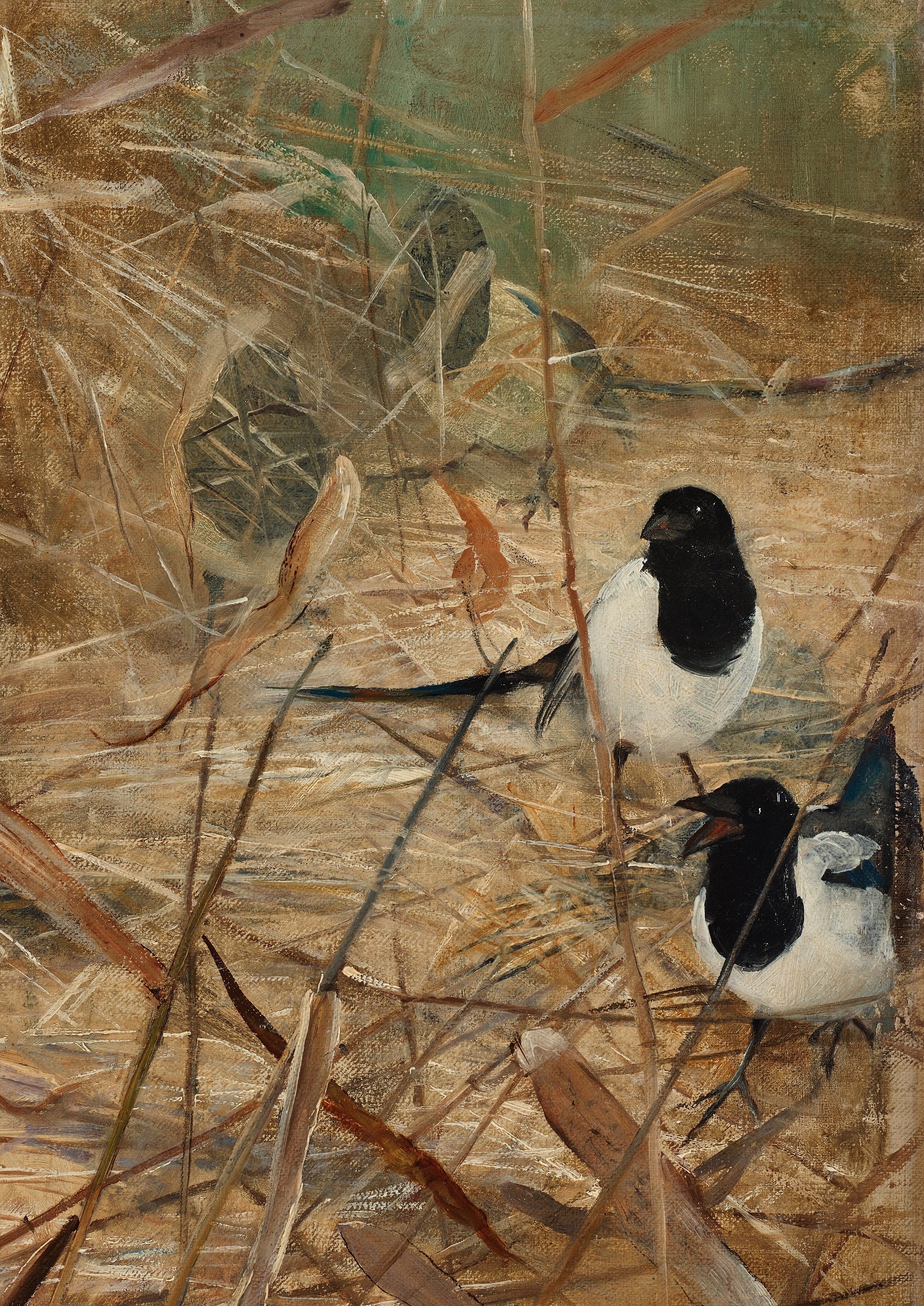 Artwork by Bruno Liljefors, "Räv och skator" (Fox and magpies), Made of Oil on canvas