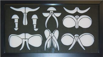 Kompositionen aus dem Scherenschnitt - Eberhard Riedel