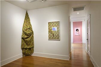 Akea Brionne Brown: In the Center, but not Seen - Iris Project