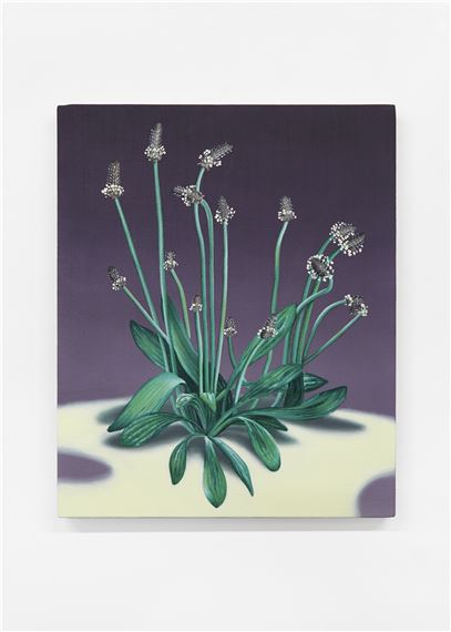 One O'clock Gun - Jane Hayes Greenwood