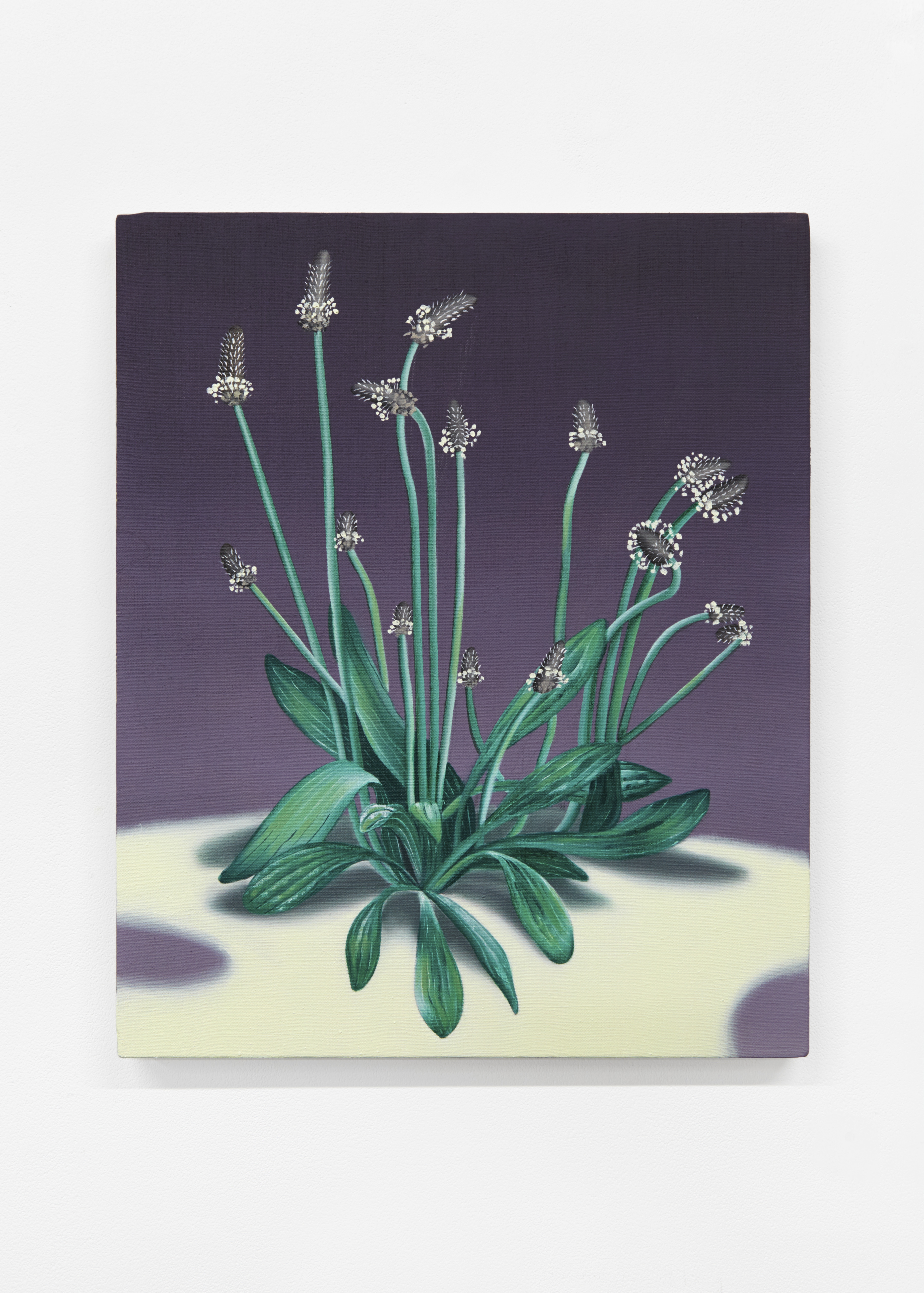 Artwork by Jane Hayes Greenwood, One O'clock Gun, Made of Oil on linen