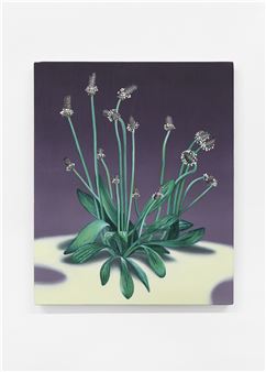 One O'clock Gun - Jane Hayes Greenwood