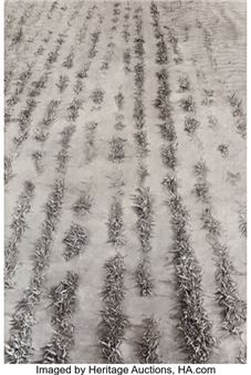 Flooded Field Bank Lane - Mary Neumuth Mito