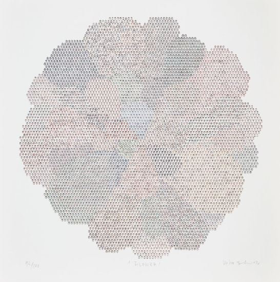 Flower by Do Ho Suh, 2002