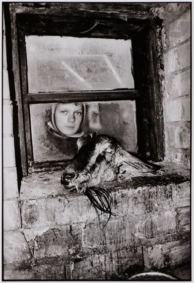 Farmstead Dreams by Rimaldas Vikšraitis, 2003