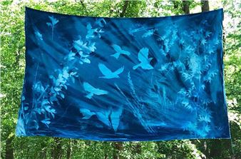 Cullum’s Notebook: Into the Woods with Natural Exhibits at Blue Heron and Beyond