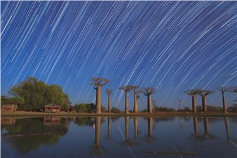 Taha Ghouchkanlu: Night Reveals - Shirin Gallery, Tehran