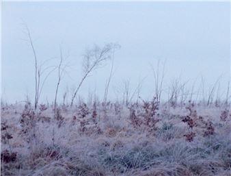 Judith Röder: A Rock Formation, A Stream, A Wood, A Cloud - Temporary Gallery