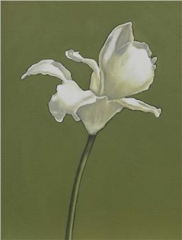 FLOWER STUDY - Ellisa Haldenny