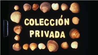 Elena Duque: Colección Privada - Roman Susan Gallery