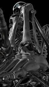 Helen Dowling: Something for the Ivory - MAMbo, Villa delle Rose 	