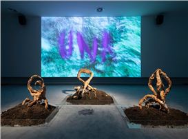 Shanghai Biennale Mobilises Trans-Species Alliances