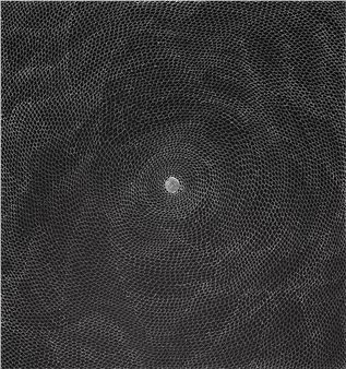 Kangaroo Dreaming - Mary Rumble Pitjara