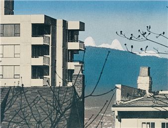 The Vanishing View of the Lions #7 - Michael de Courcy