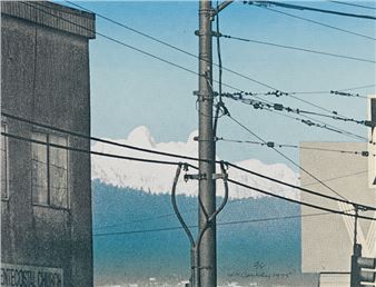 The Vanishing View of the Lions #3 - Michael de Courcy