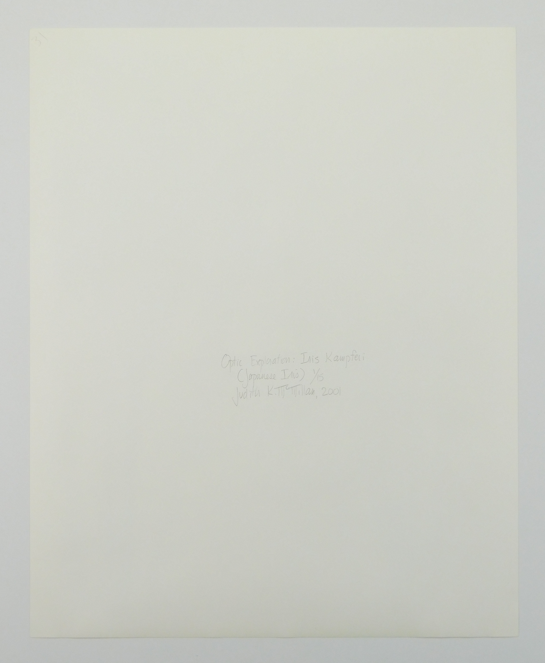 Artwork by Judith K. McMillan, ''Iris Kaempferi (Japanese Iris)'', Made of silver gelatin print