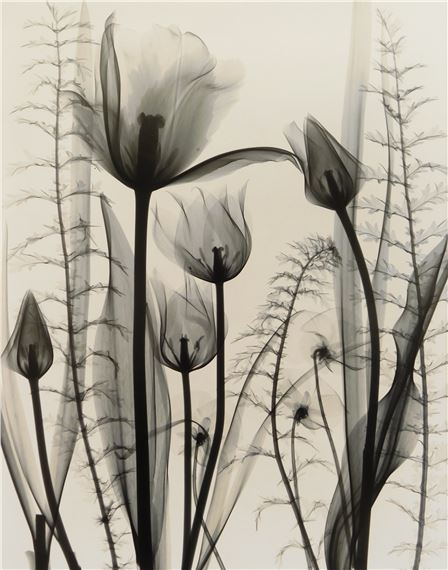 ''Tulip Garden'' by Judith K. McMillan, 2001
