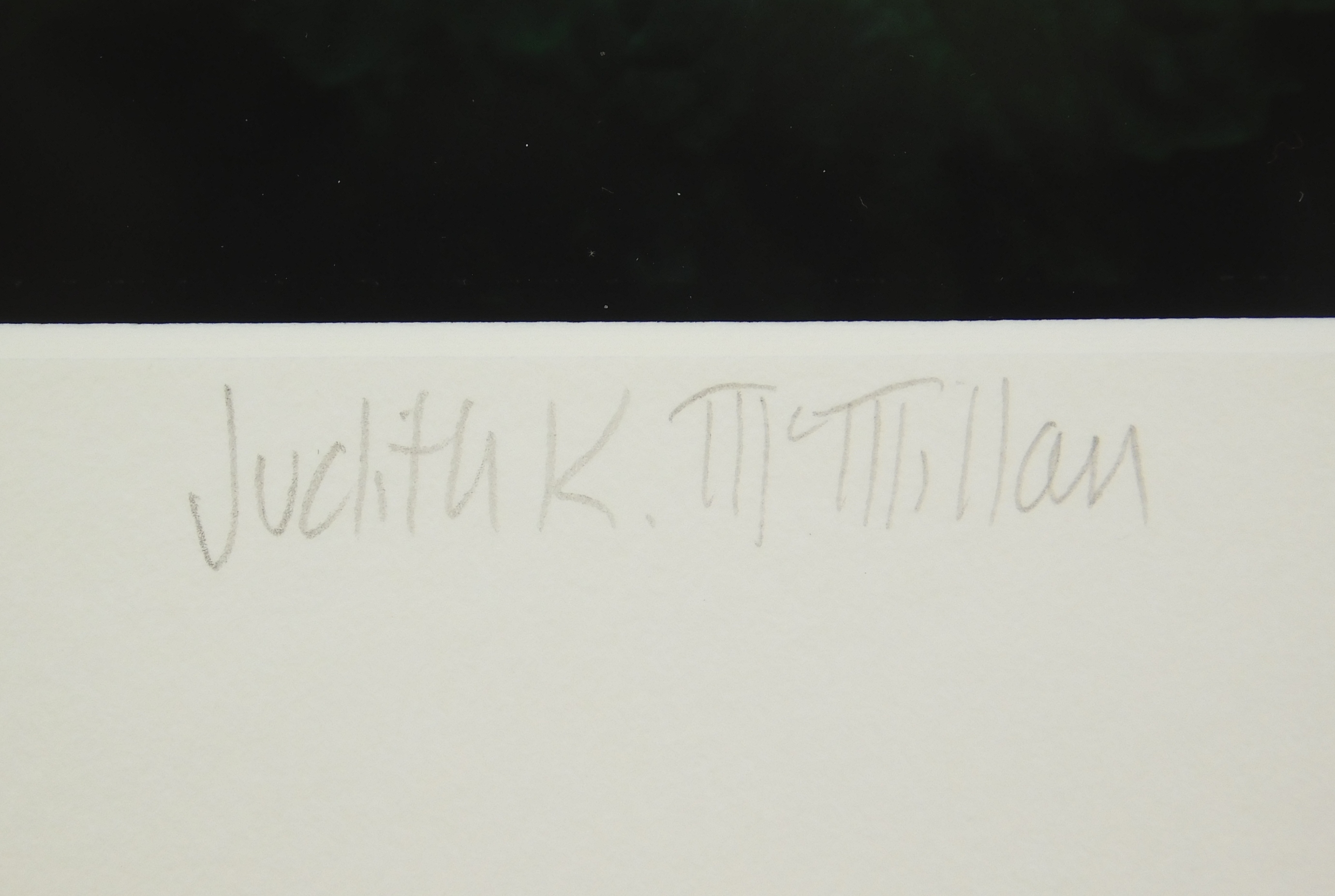 Artwork by Judith K. McMillan, ''Primrose'', Made of photograph