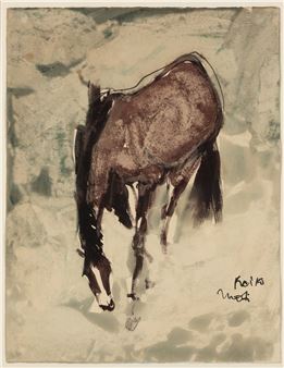 HORSE GRAZING Picture