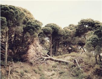 -ѱ-05–25-05 - Adam Jeppesen