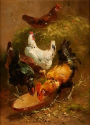 Coq et poules picorant by Henry Schouten