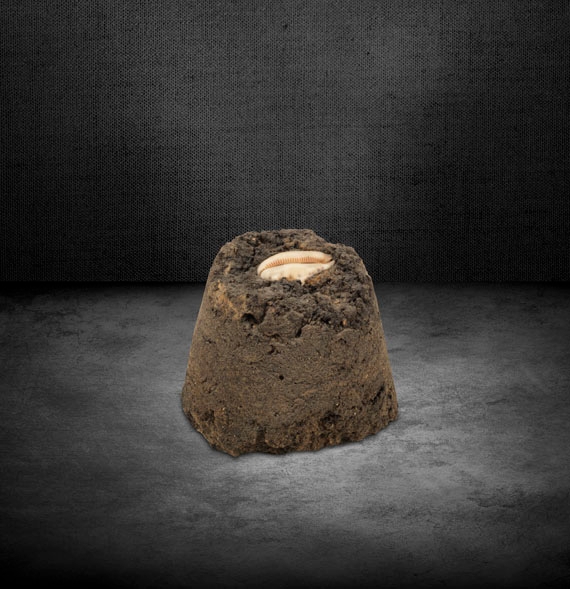Artwork by Joseph Beuys, Erdobjekt "TA...KA-(TURM)", Made of Earth object, shell