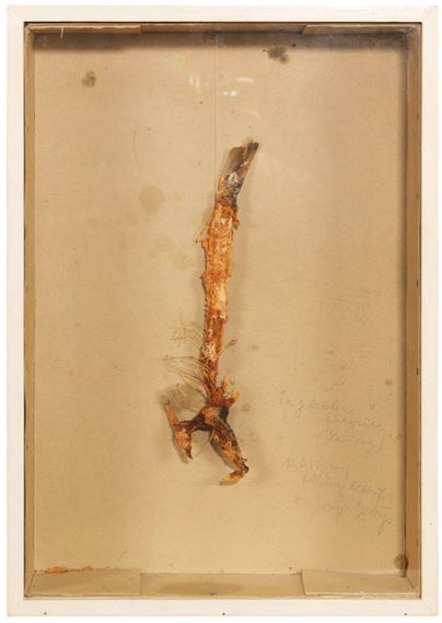 1a gebratene Fischgräte (Hering) by Joseph Beuys, 1970