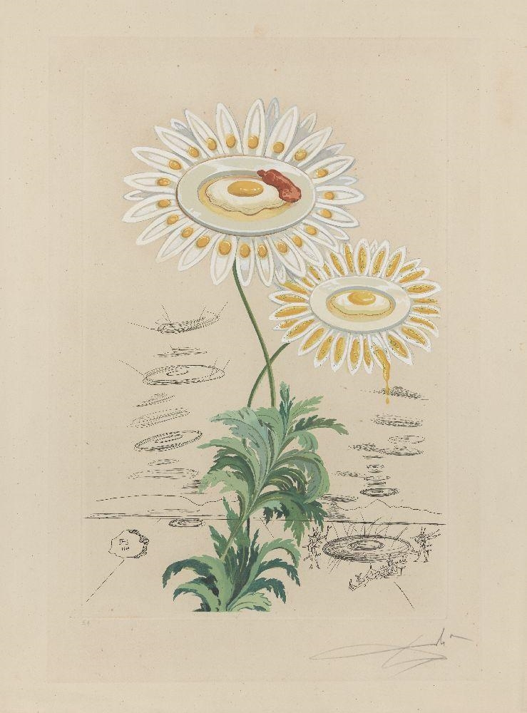 Chrysanthemum (Marguerite) [Prestel 236] by Salvador Dalí, 1968