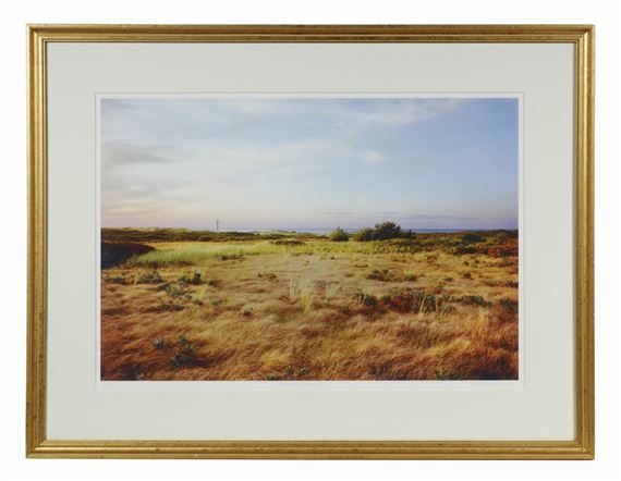 "Dion's Sunset" - Daniel Sutherland